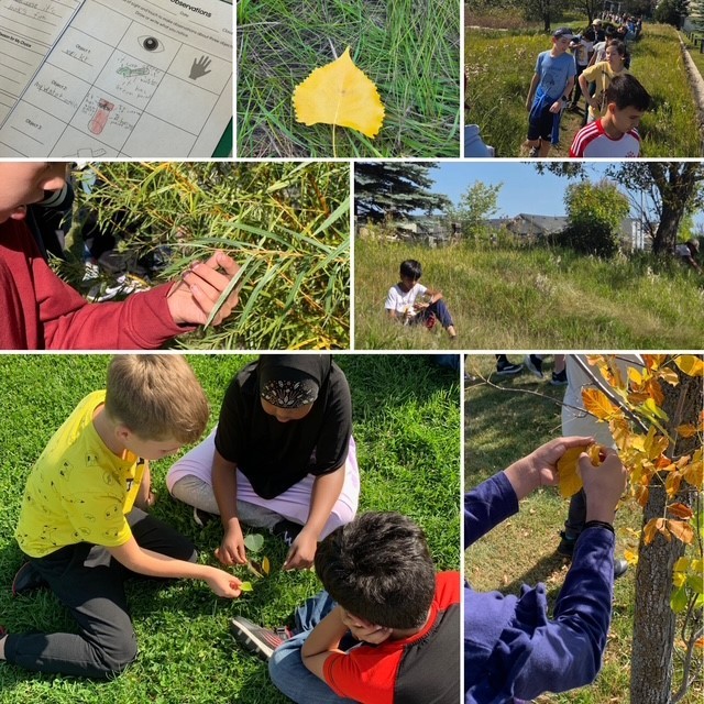 Learning from and with the land