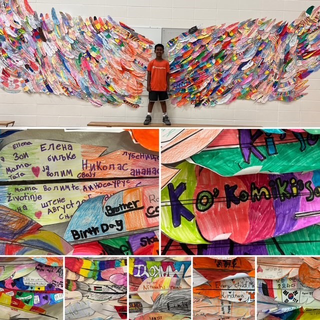 Orange Shirt Day Feathers